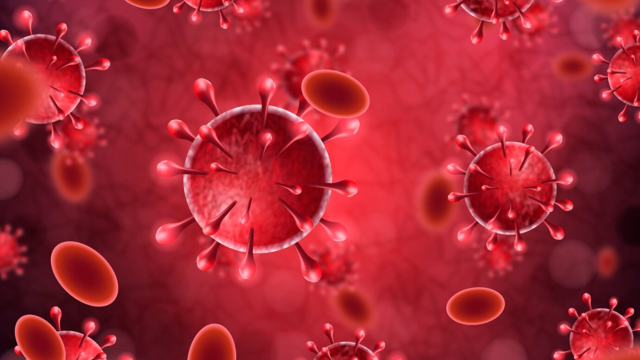 hematologie clinica